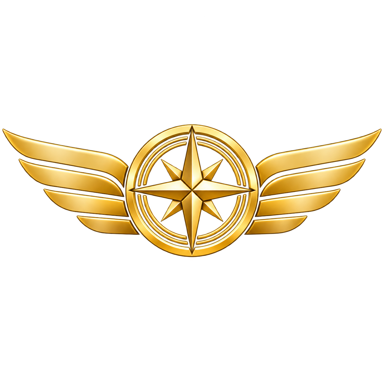 Jerry Marotta Aviation winged compass